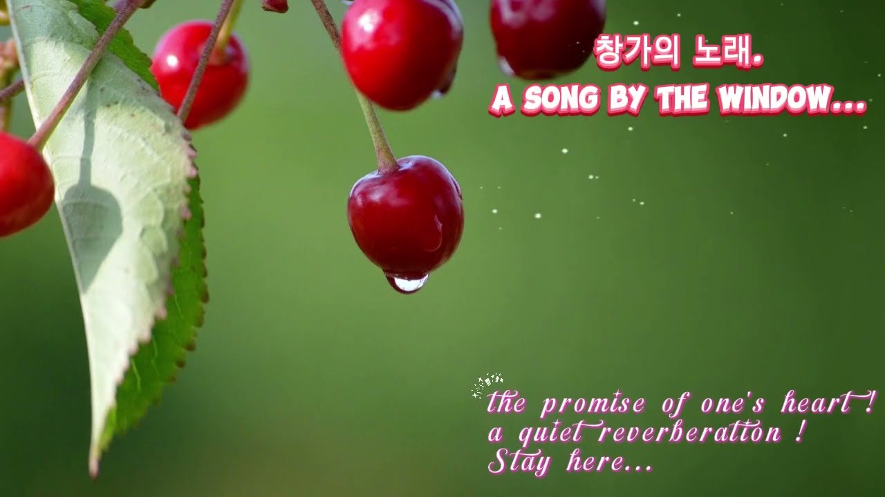 ♡a song by the window.(창가의 노래)♡ #music ,#k ,#kpop .#kpop발라드,#감성발라드 ,#감성음악 #사랑노래 ,