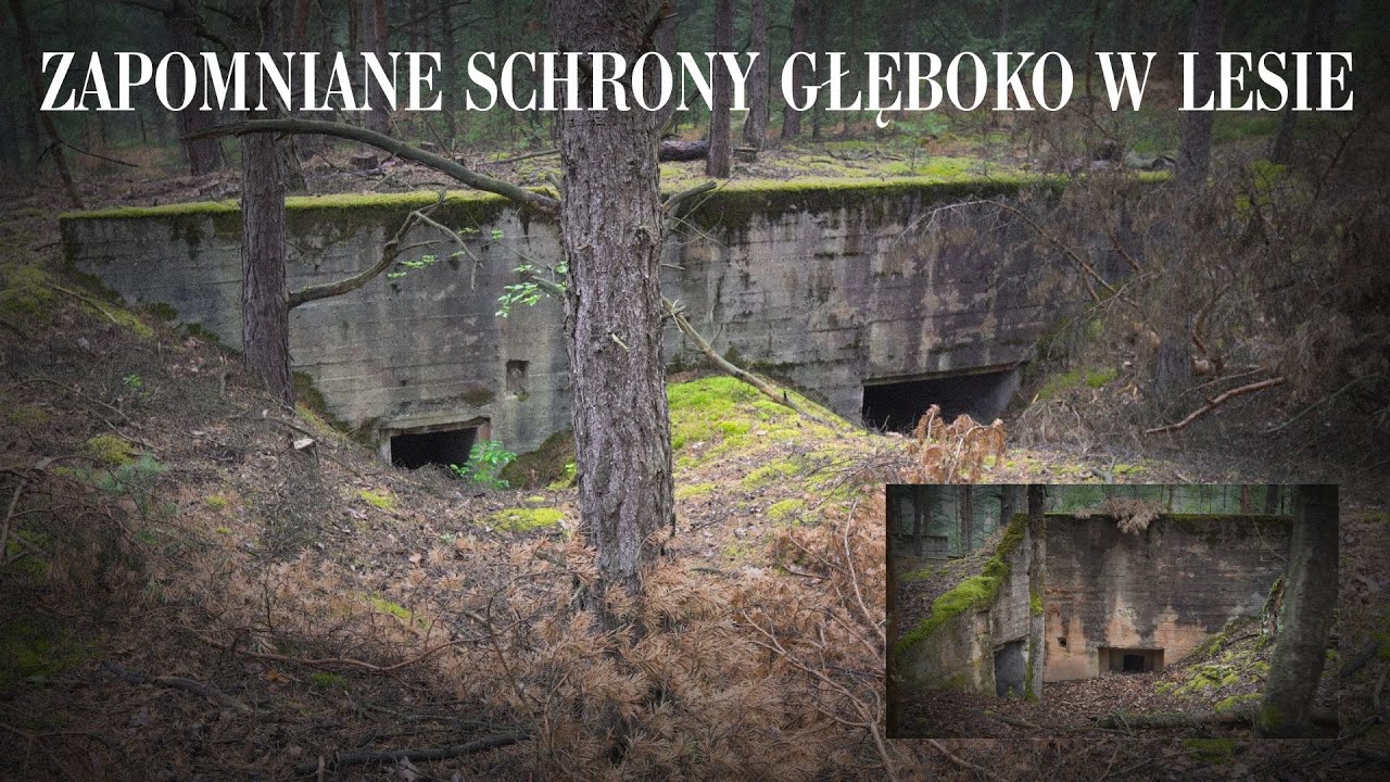 Schrony ukryte głęboko w lesie - cz. 1 #urbex #schron #opuszczone
