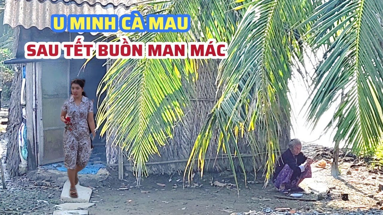 Quá Bất Ngờ Vùng Quê U Minh Cà Mau Sau Tết Buồn Man Mác, Mai Vàng Vẫn Nở Nhưng Thiếu Bóng Người 2026