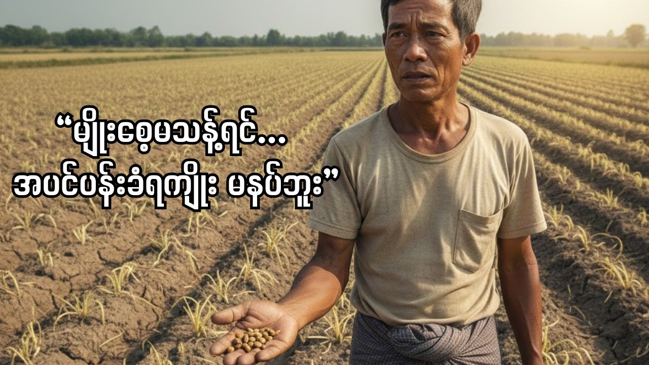 မျိုးစေ့ဝယ်ရင် မလှည့်စားခံရအောင် ဒါတွေအရင်ကြည့်ပါ - မျိုးစေ့လျှို့ဝှက်ချက် (၄) ချက်