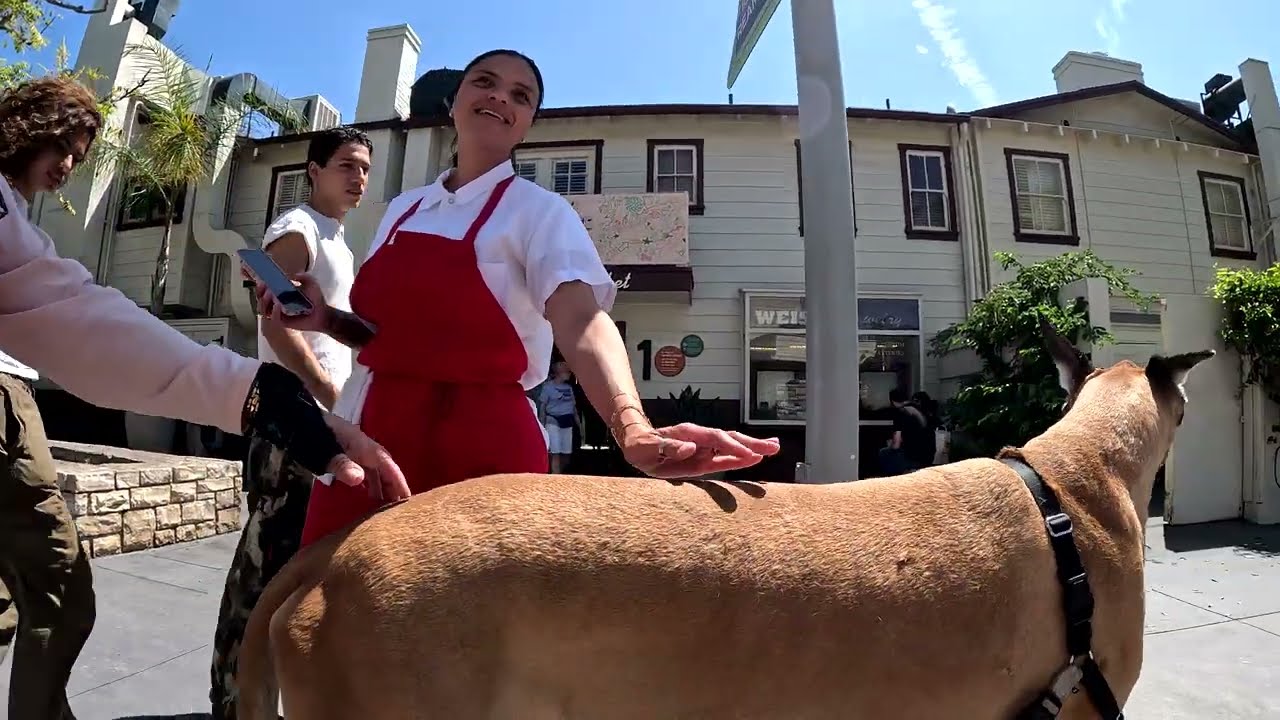 Cash 2.0 Great Dane at The Grove and Farmers Market in Los Angeles 94