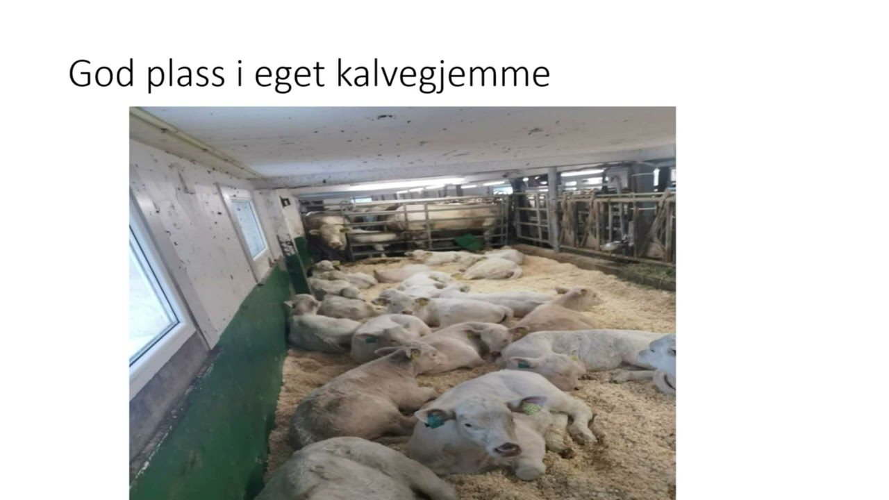 Fremtidens matproduksjon 2023 Tynset: Lars Olav Harsjøen 1080p