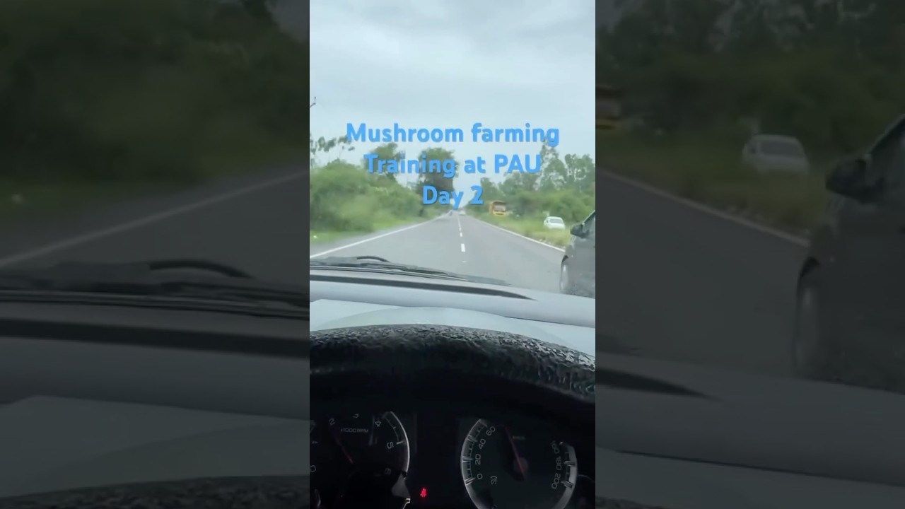 Mushroom farming Training at #PAU #Day2