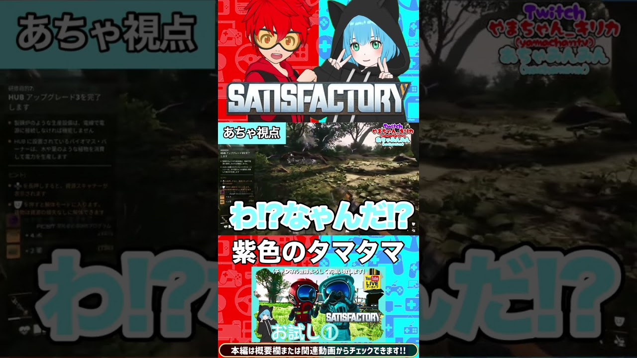 紫色のタマタマ｢Satisfactory｣