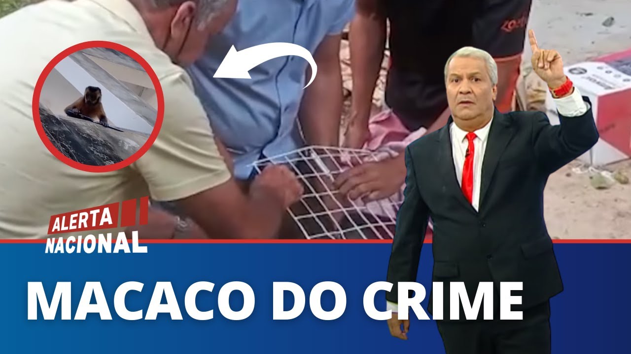 MACACO FLAGRADO COM FACA É PRESO NO PIAUÍ