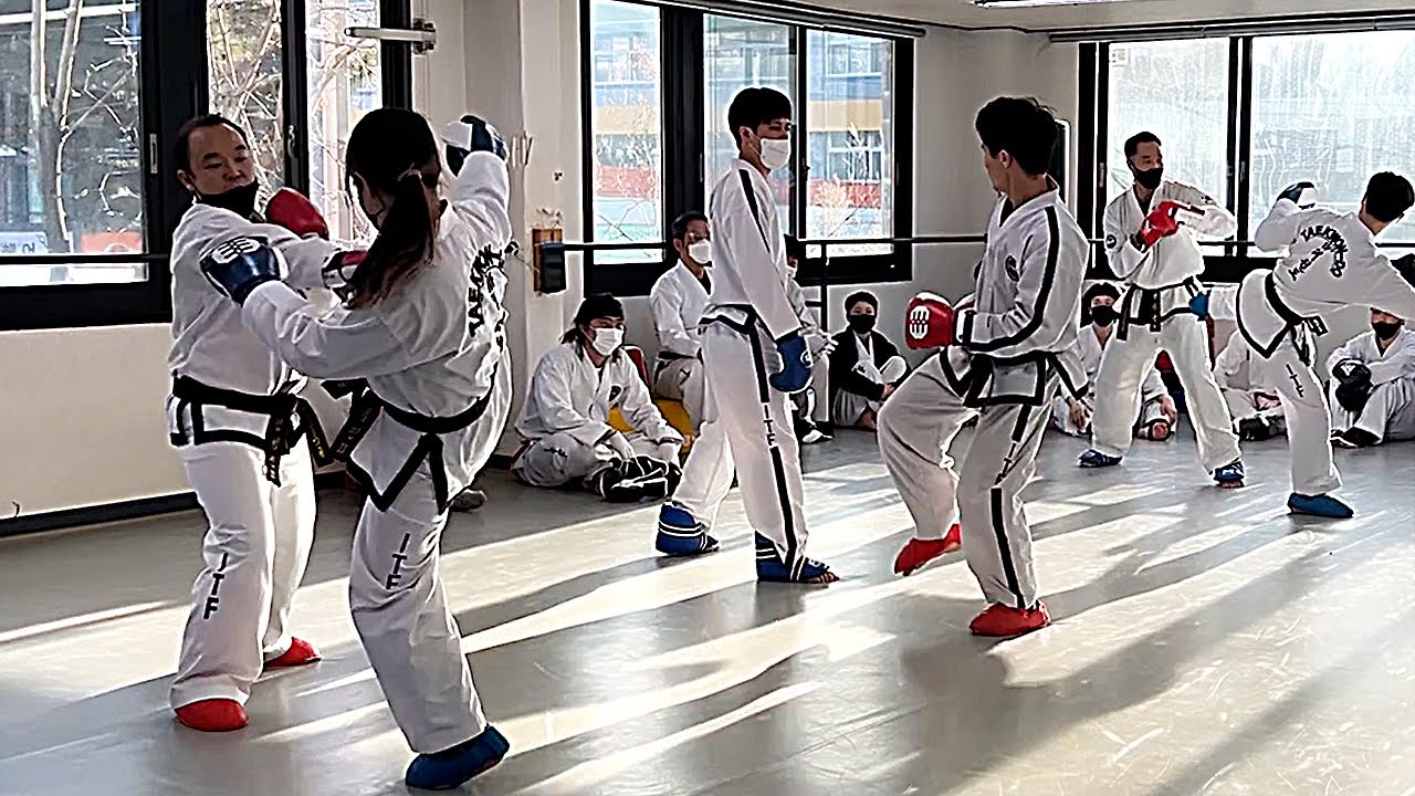 ITF태권도 승단심사 (23.01.28)