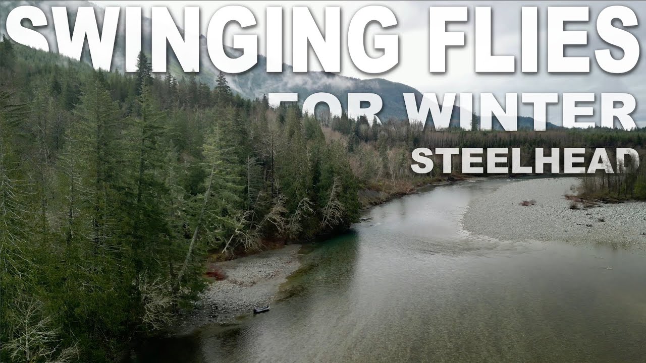 Swinging Flies for Washington Winter Steelhead in December