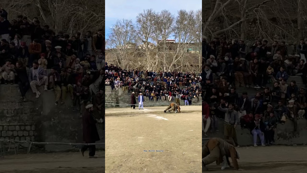 Tug Of War #shorts #shortvideo #youtubeshorts