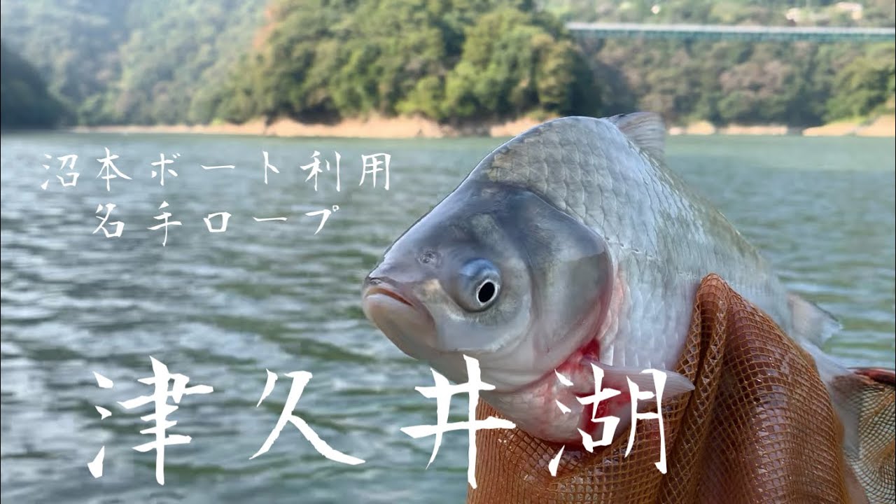 【津久井湖】沼本ボートを利用して名手ロープでへらぶな釣り 城山ダム