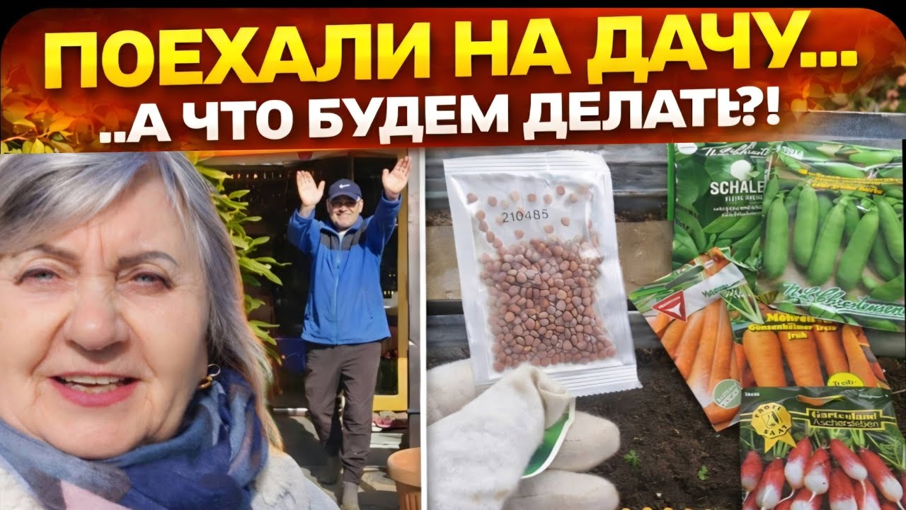 Открываем  сезон!. Сеем, сажаем, приводим в порядок