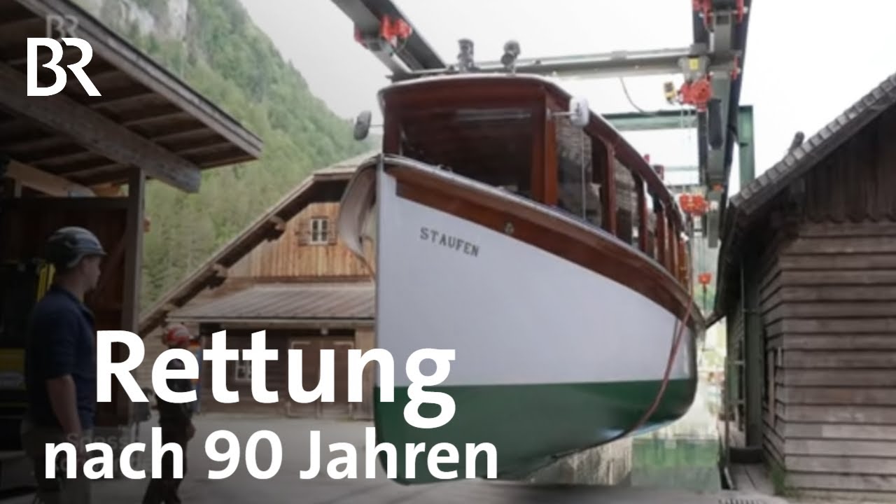 Die Rettung der 