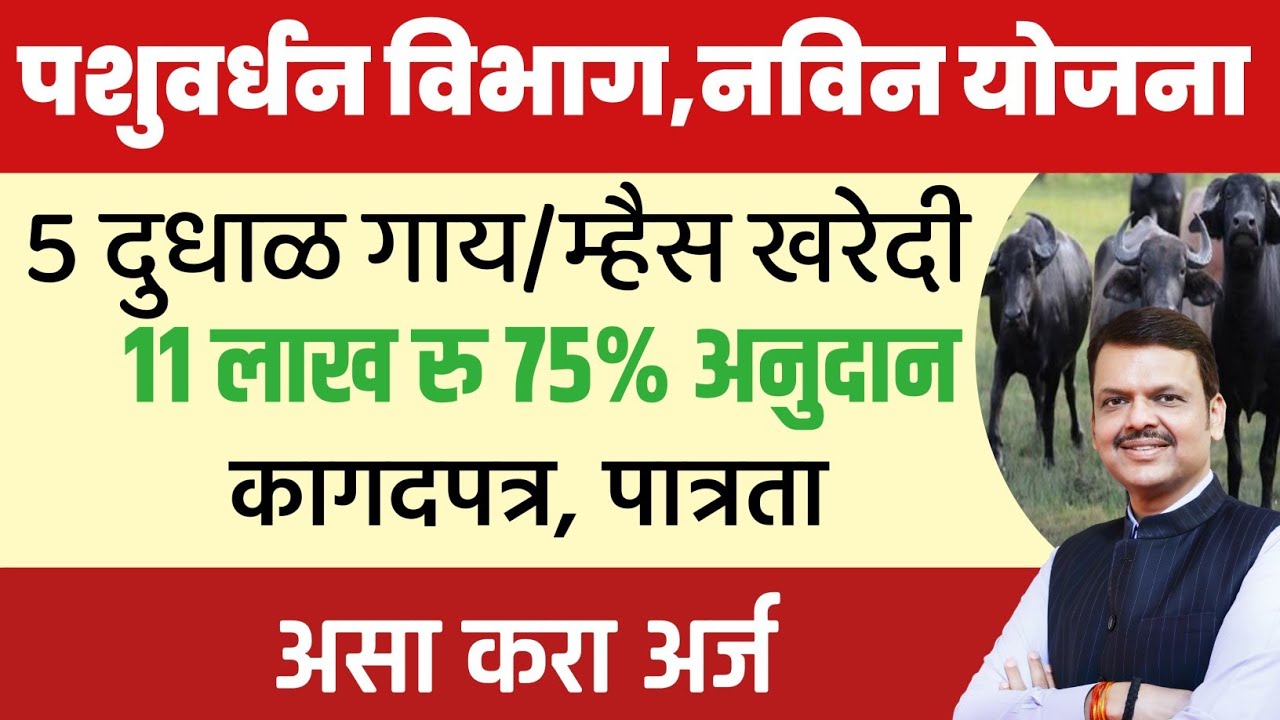🐂🐄पशुवर्धन विभाग,नविन योजना ५ दुधाळ गायी/म्हशी घेण्यासाठी ११ लाक रु ७५% अनुदान ✅