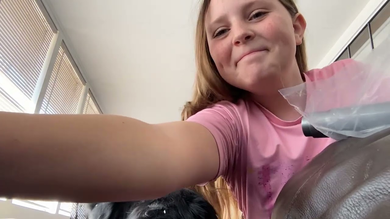 ASMR with the bunnies 