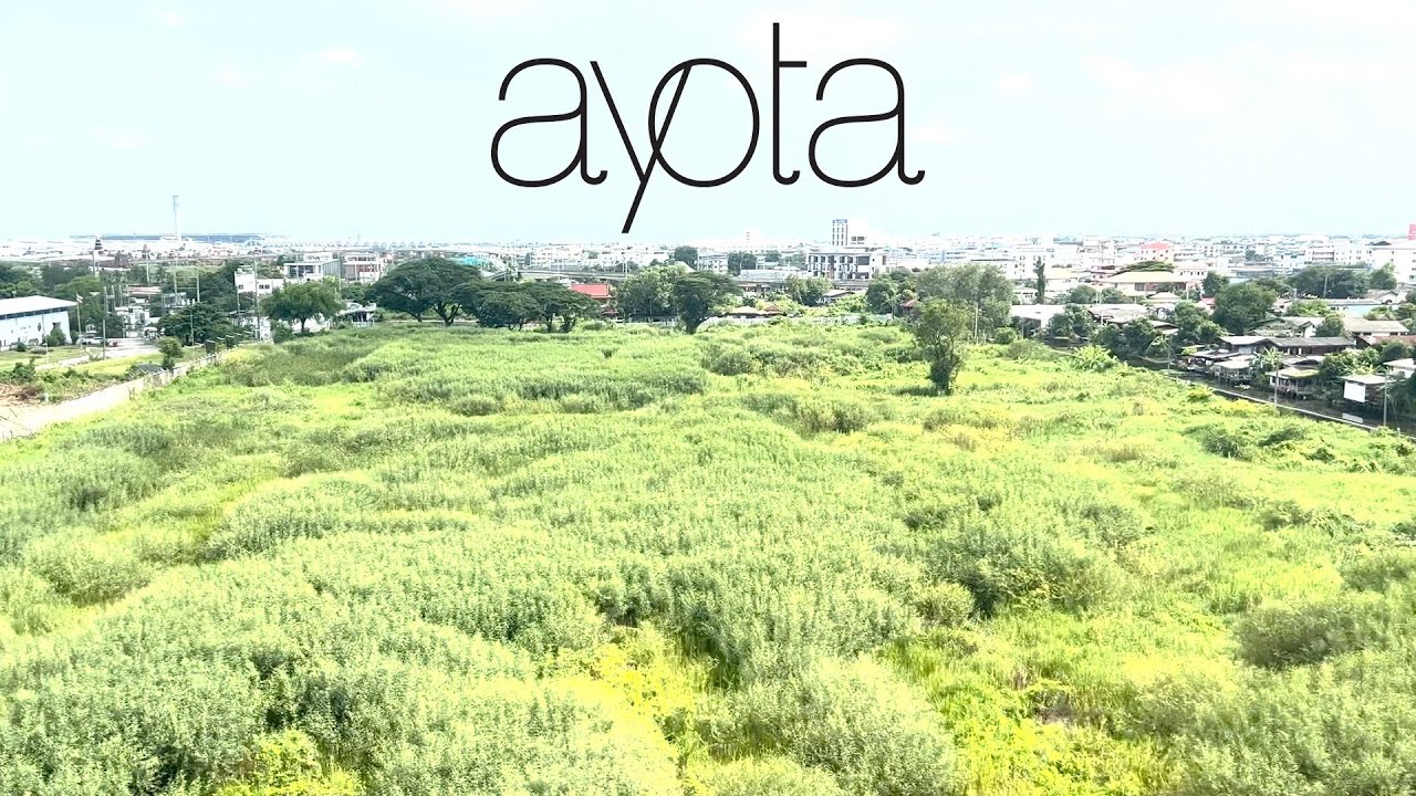 Ayota - Fading Fields