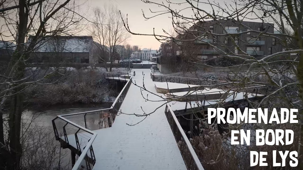 Promenade hivernale en bord de la Lys