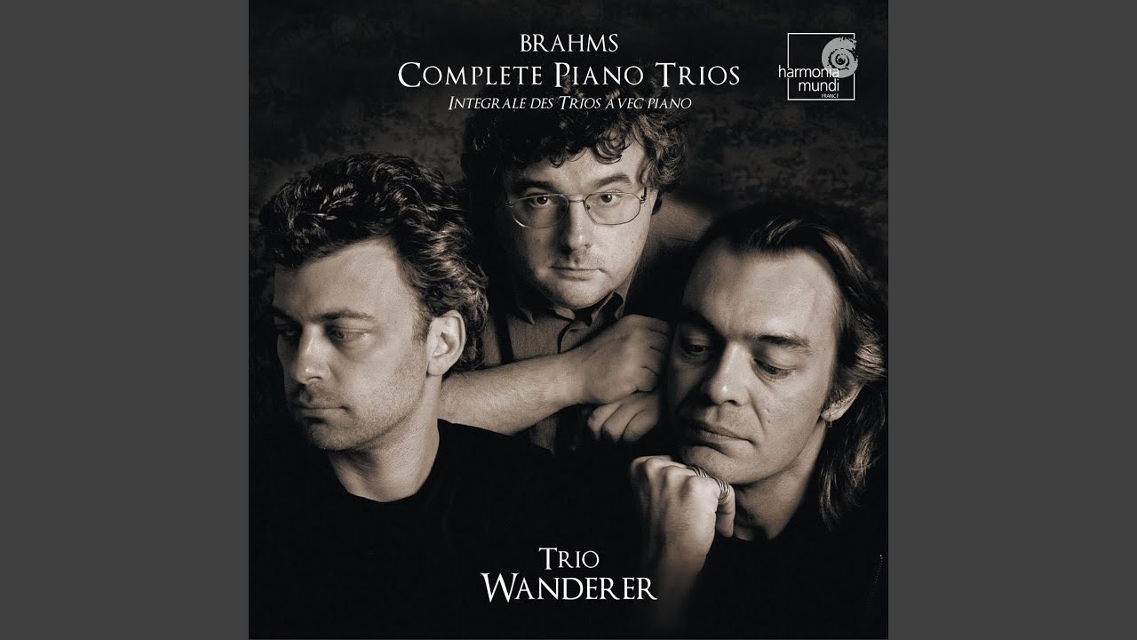 Trio No. 2 en Ut Majeur, Op. 87: II. Andante con moto