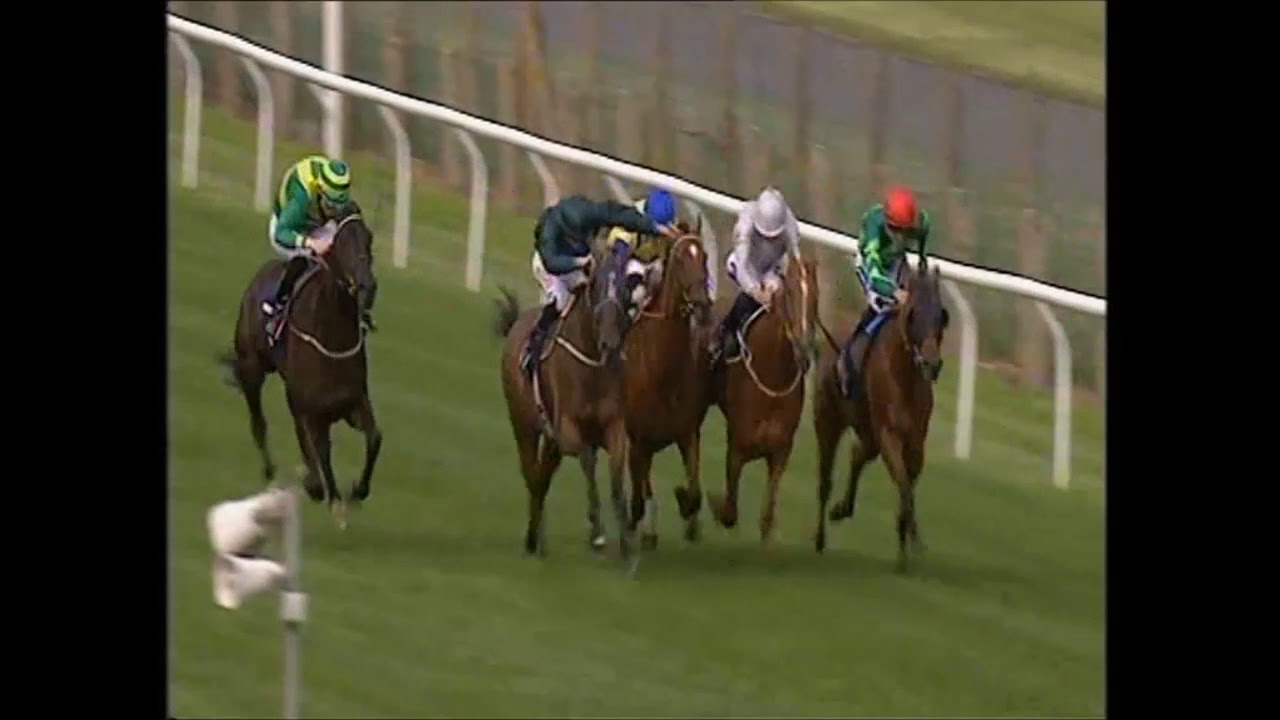 Good Luck Charm wins a thriller at Brighton Racecourse - 11/08/17