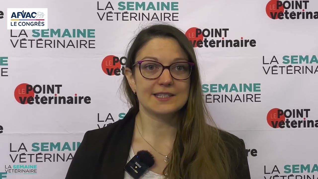 Quel lien entre calicivirus et gingivostomatite féline ?