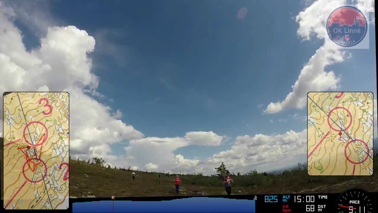 O-Ringen 2016 E1 H45K-1, Tommy Stenvi