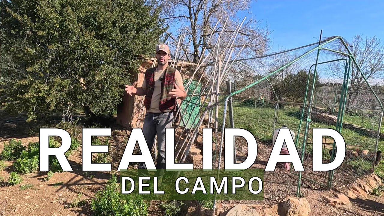 REALIDAD del CAMPO y la Vida Familiar