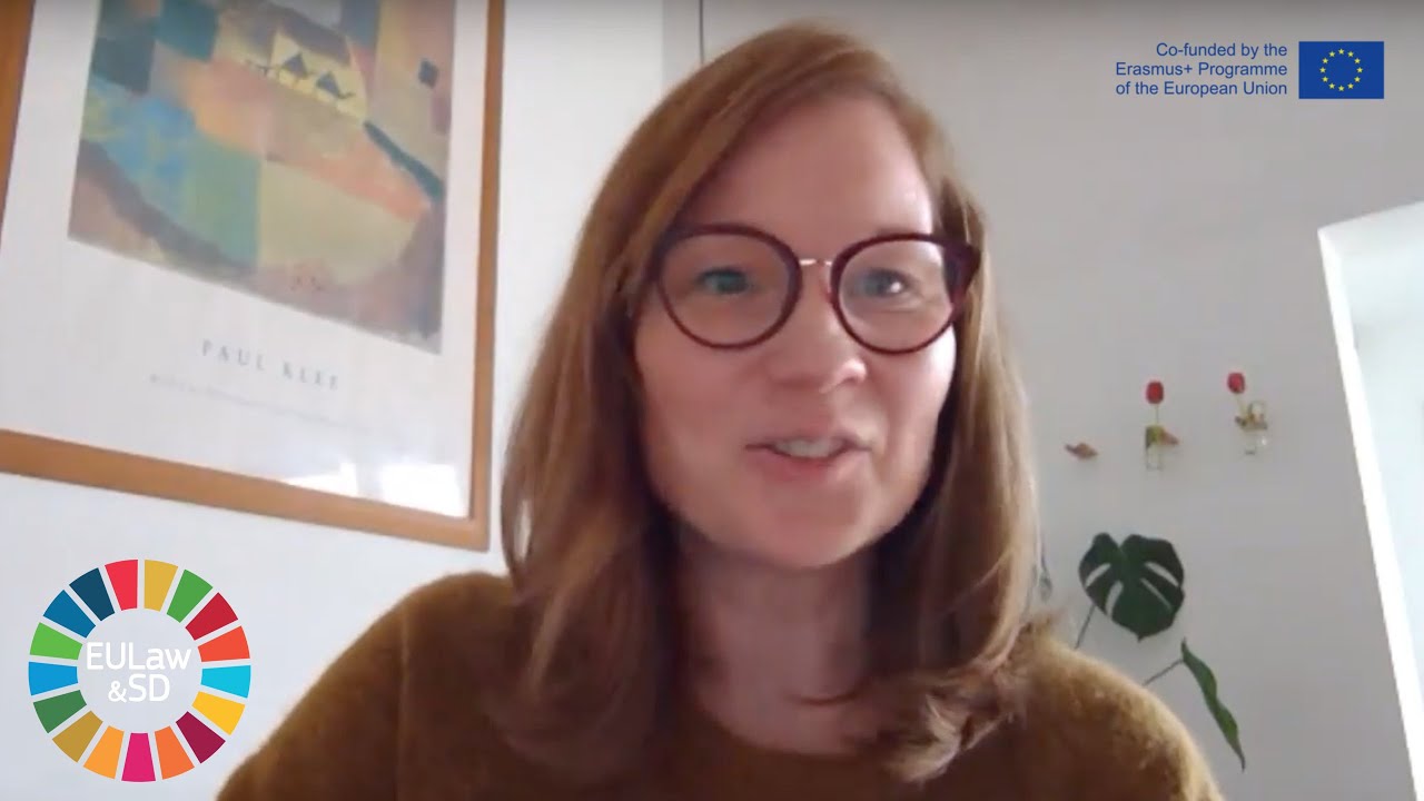 EULawSD Webinar | Marianne Kettunen on 'Towards a Sustainable Europe by 2030'
