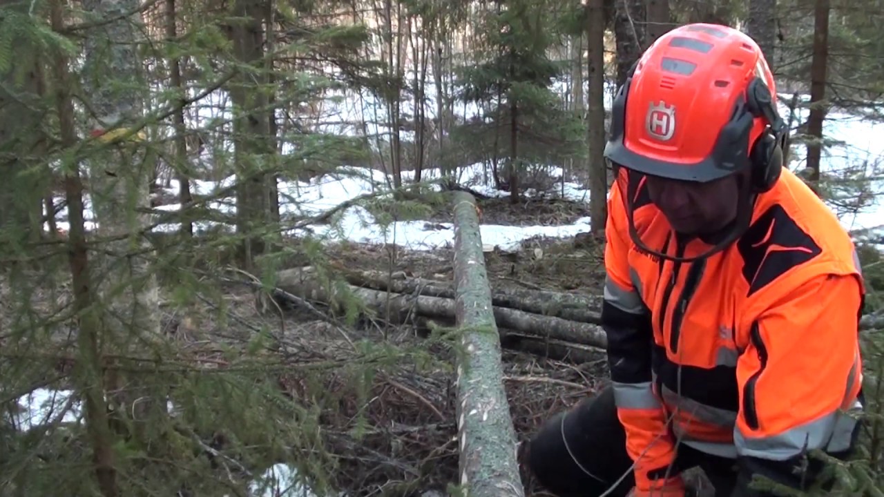 Metsolan Metsäkoulu 66, Vipuamismenetelmällä karsinta