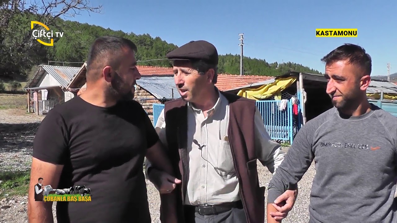 Kastamonu'da Çobanlarla Hoş Sohbetler - ÇOBANLA BAŞ BAŞA / Çiftçi TV