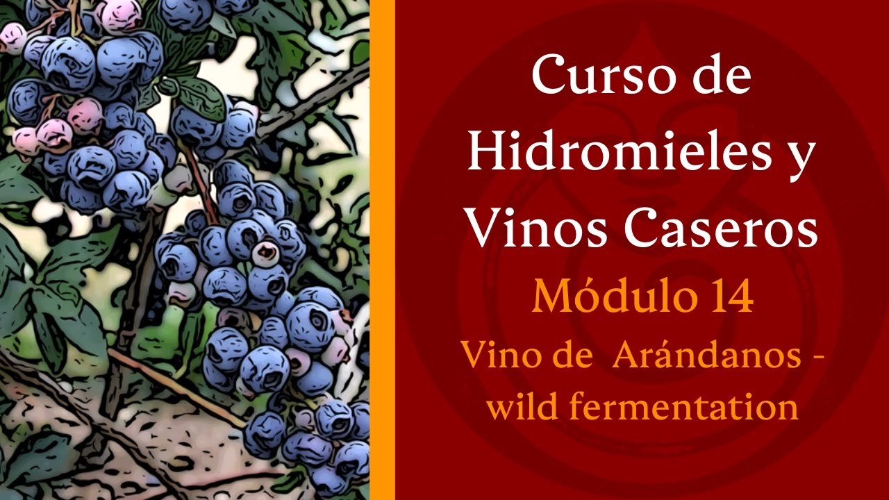 Cómo hacer un VINO DE ARÁNDANOS - wild fermentation - MÓDULO 14
