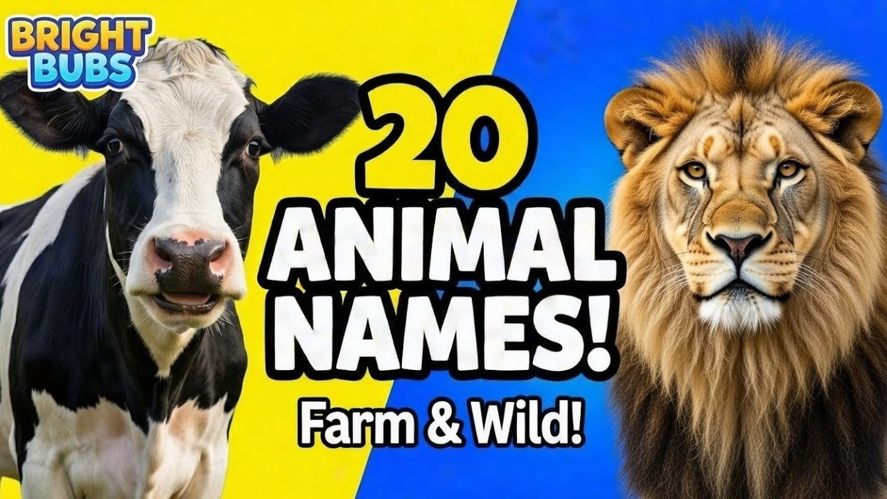 Animal Names Vocabulary for kids| Learn 20 Farm & Wild Animals (High Contrast Video) Low Stimulation