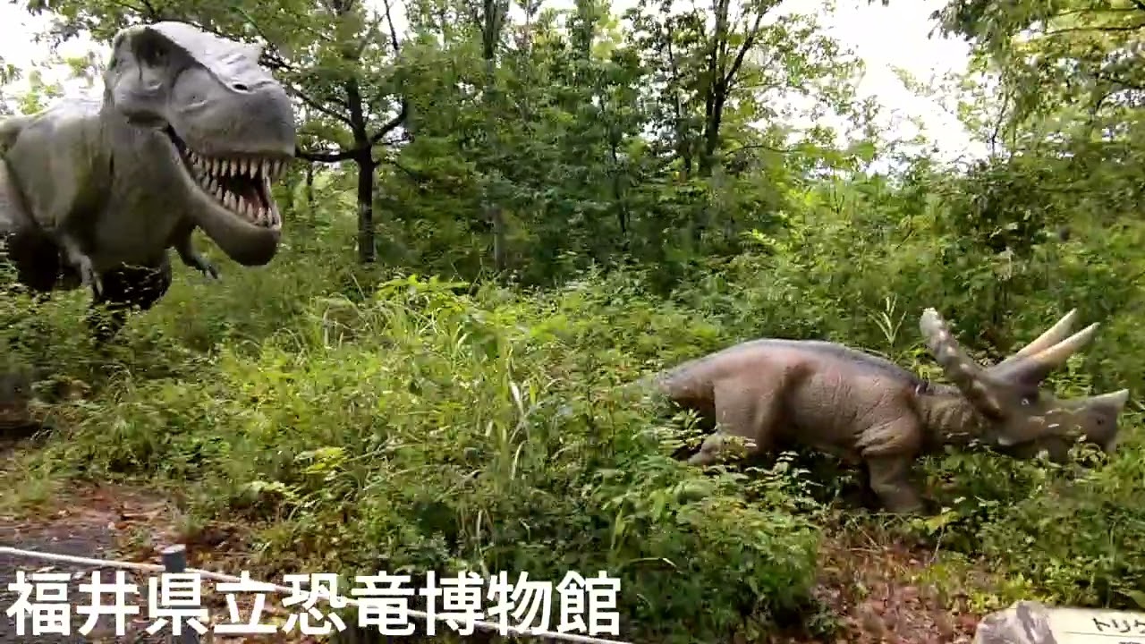 福井県立恐竜博物館