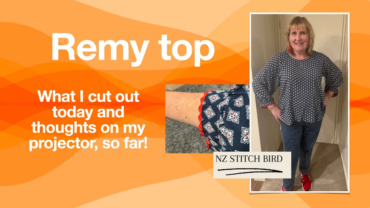Sewing Success: Remy Raglan Plus Exciting New Projects