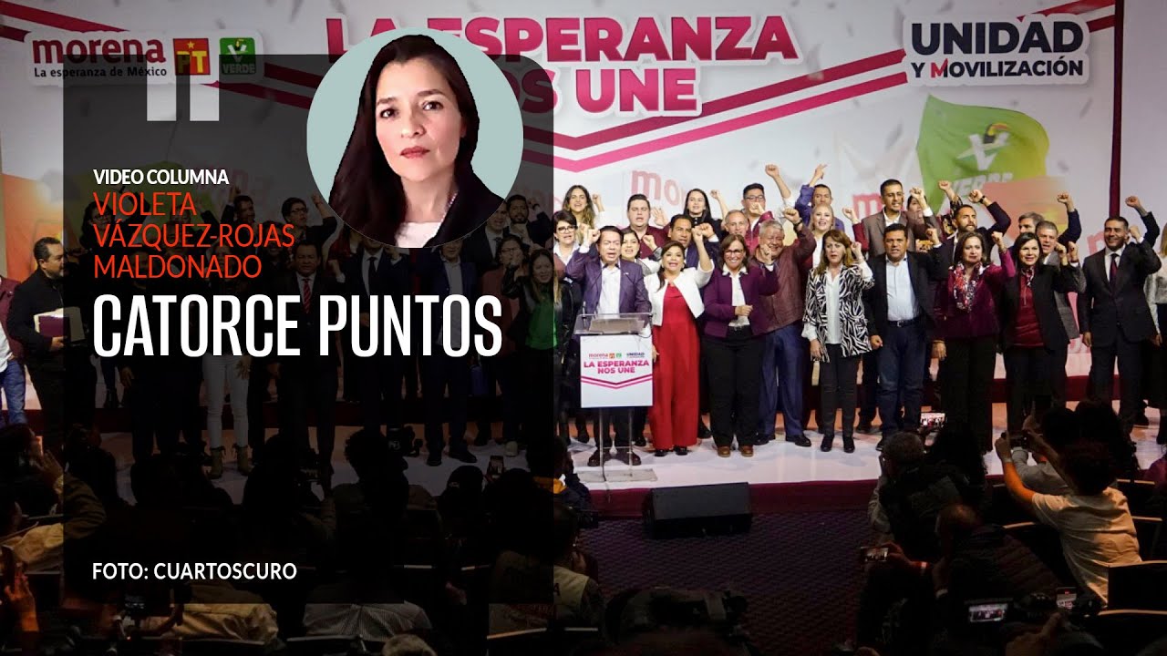 Catorce puntos. Por Violeta Vázquez Rojas | Video columna