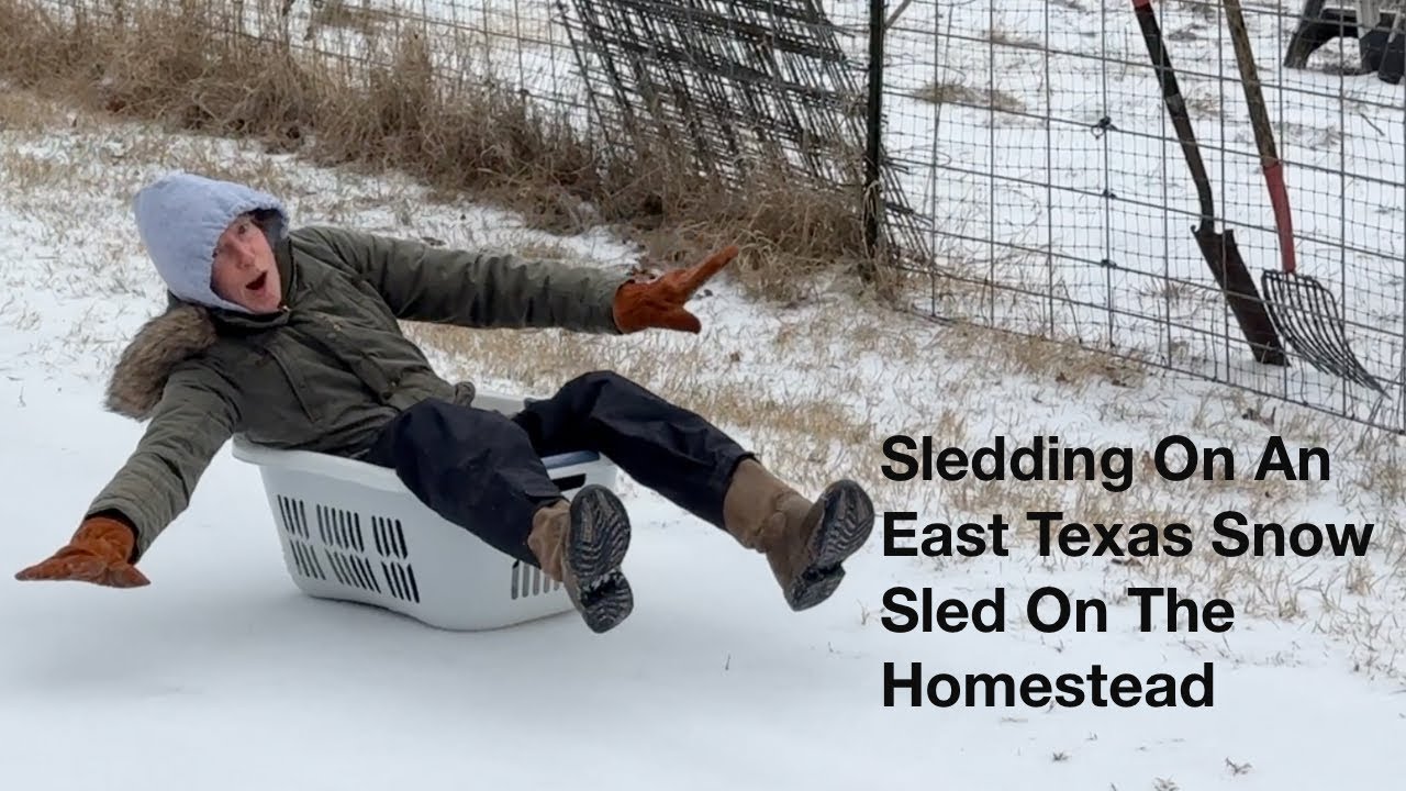 Sledding On An East Texas Snow Sled On The Homestead