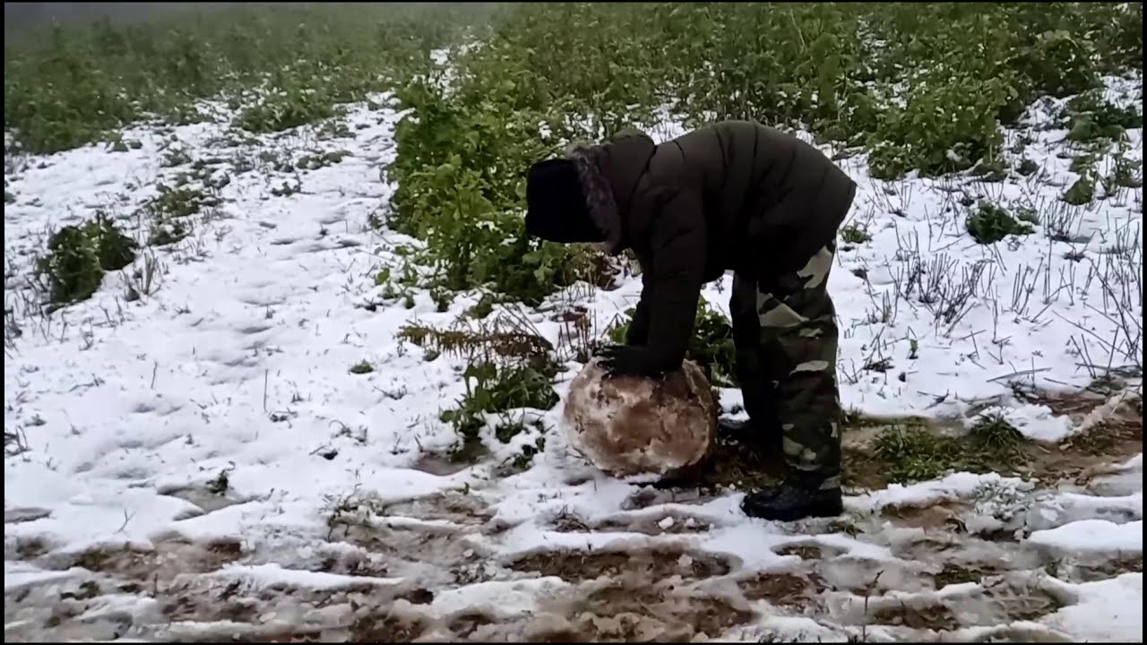 Making a snow mud man whilst on our dog walk