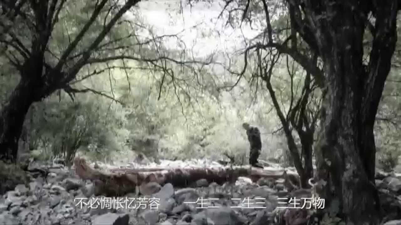 China folk 独立民谣「倒退」backwards by 王钰棋
