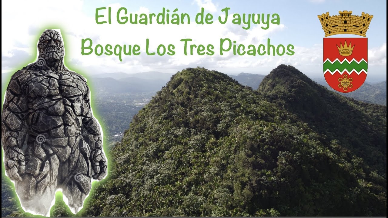 El Guardián de Jayuya, Bosque Tres Picachos