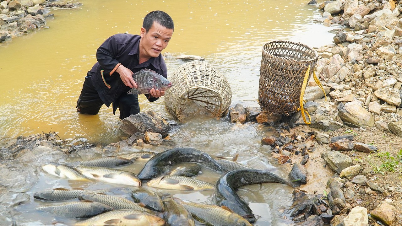 Dwarf Family Sets Traps and Catches a School of Perch in the Forest Stream | Survival Life