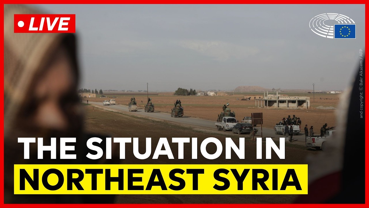 MEPs discuss the need for a sustainable ceasefire in Northeast Syria