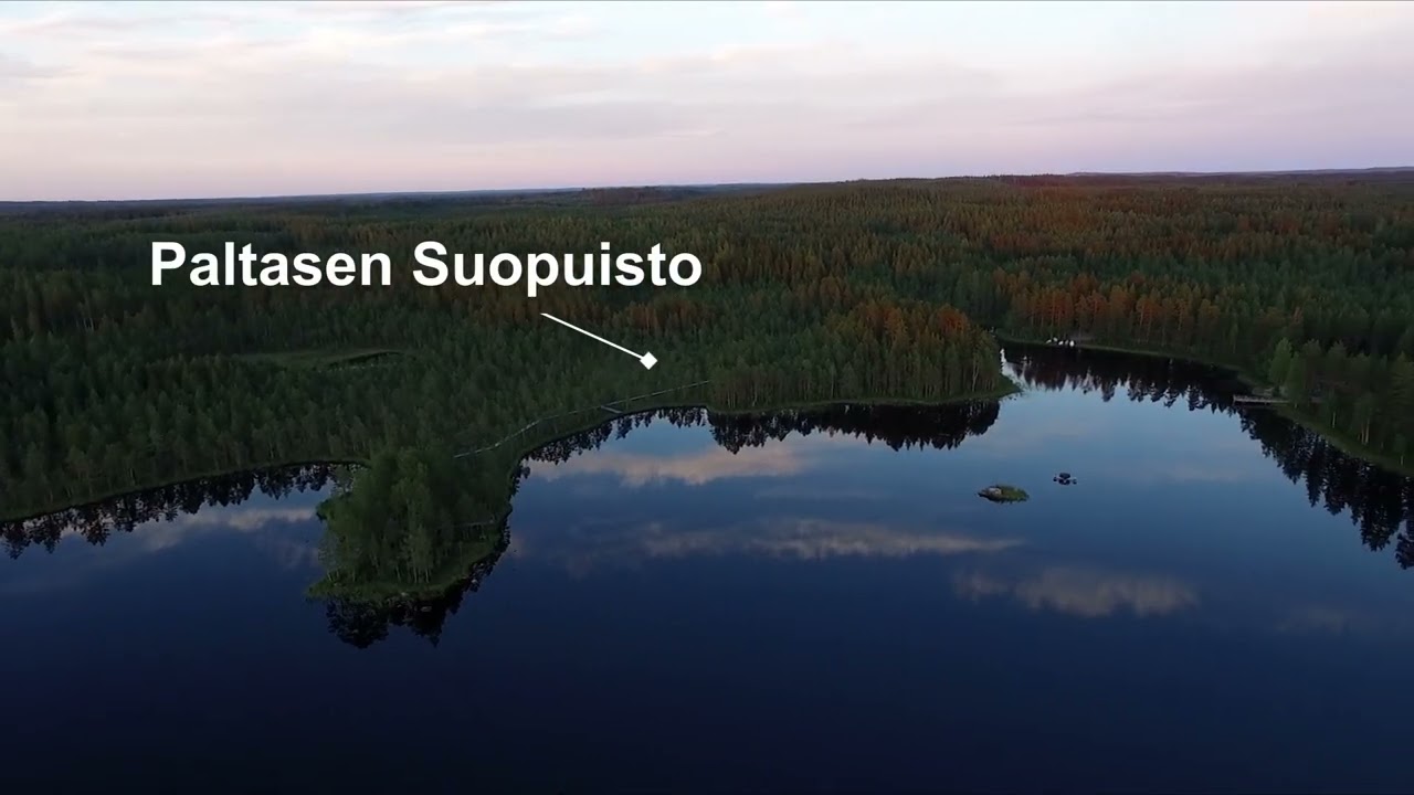 Paltanen (Drone ilmakuvaa)