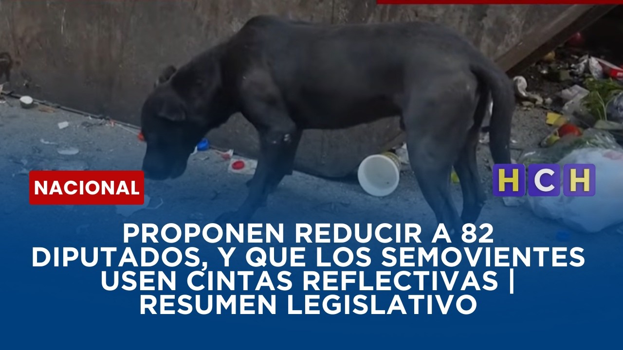 Proponen reducir a 82 diputados, y que los semovientes usen cintas reflectivas | Resumen Legislativo