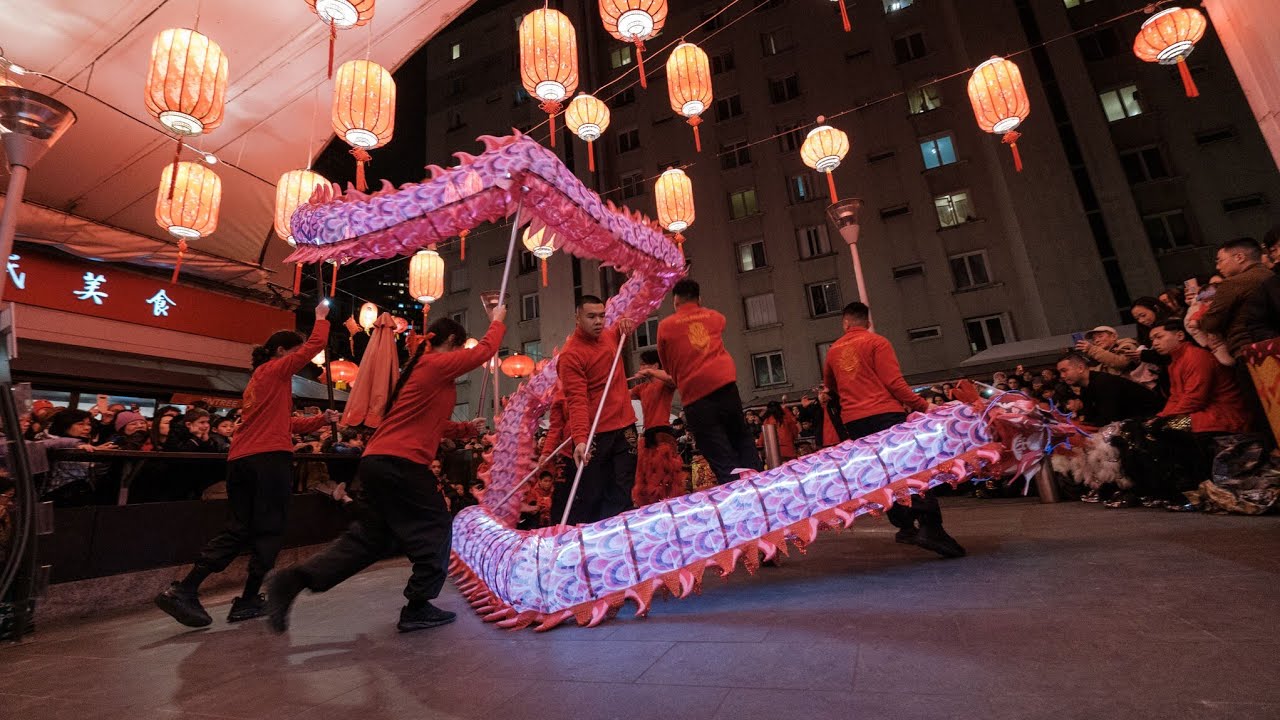 Lion Dance Franco Asiatique 英武堂 (LDFA) - Nouvel An Chinois 2024 - Tang Frères - Danse du Dragon