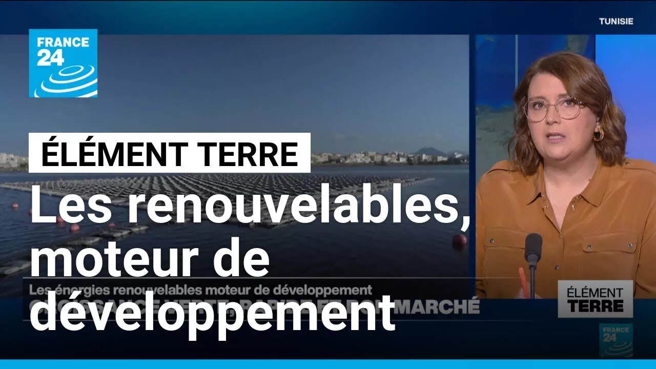 Les &eacute;nergies renouvelables, moteur de d&eacute;veloppement &bull; FRANCE 24