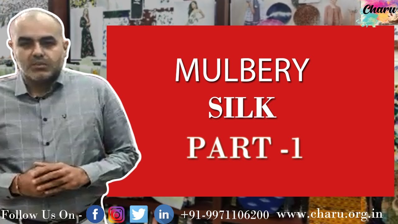 What Is Mulbery Silk?