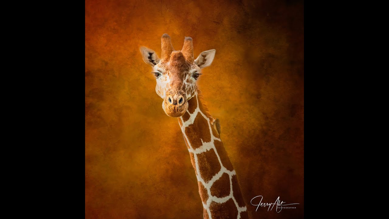 Intro To Textures and Blending in Photoshop