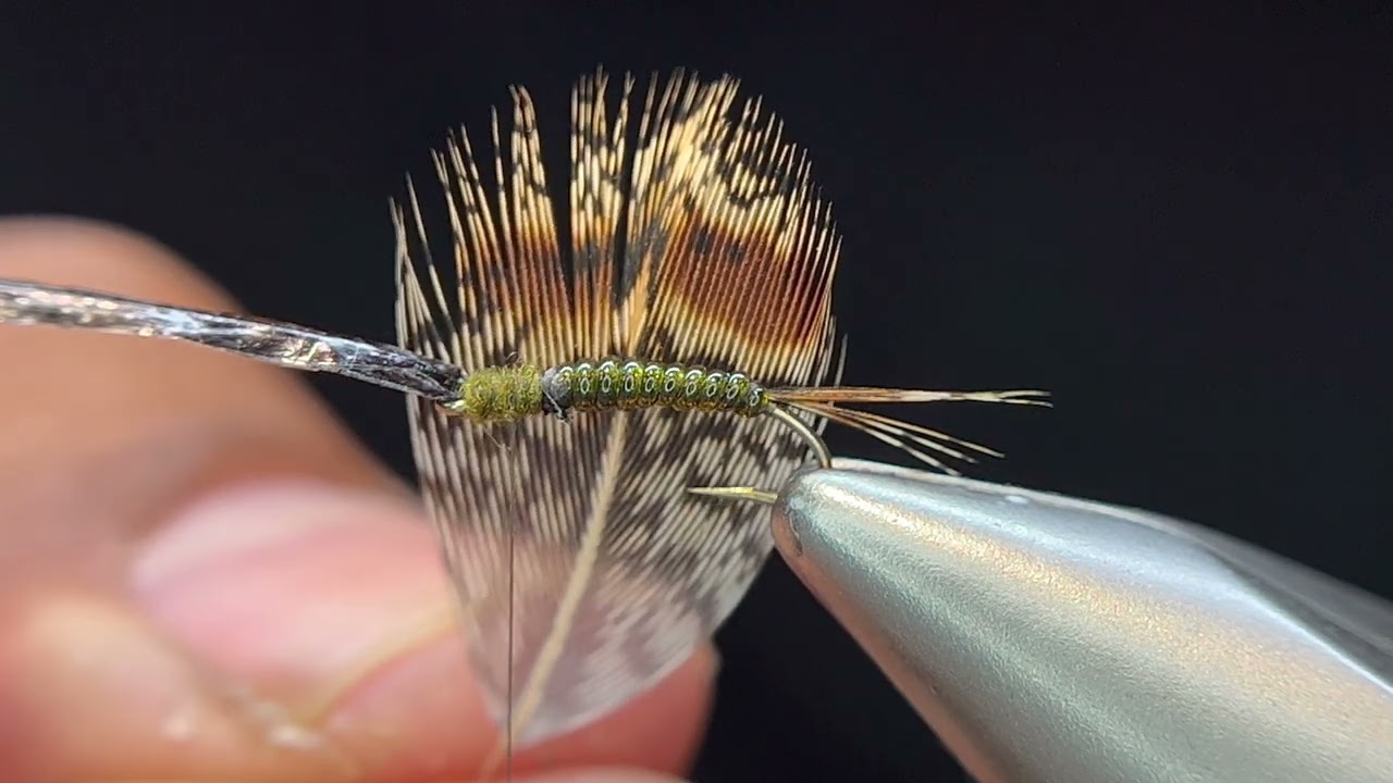 Stalcup's Baetis Nymph