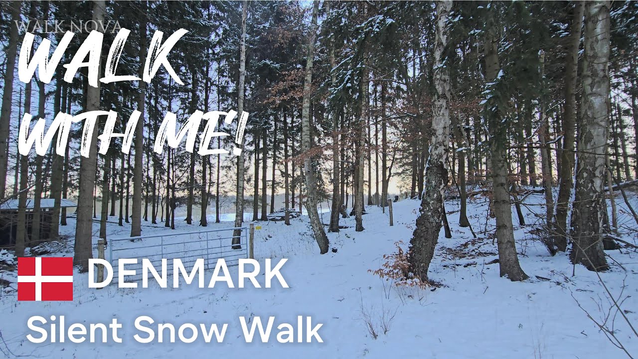 Slient Snow Walk in Denmark
