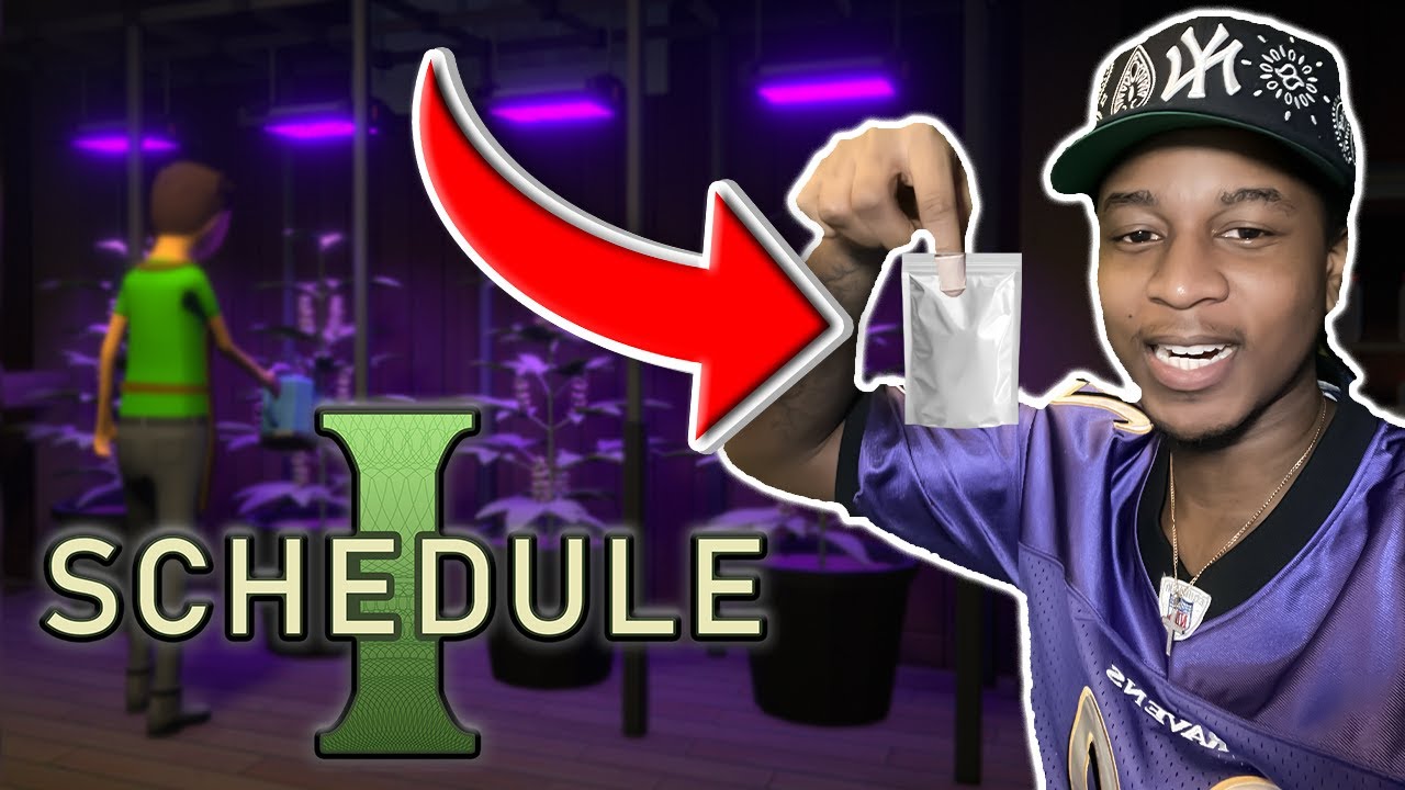 I Dropped Out Of School To Sell Drugs... | Schedule 1
