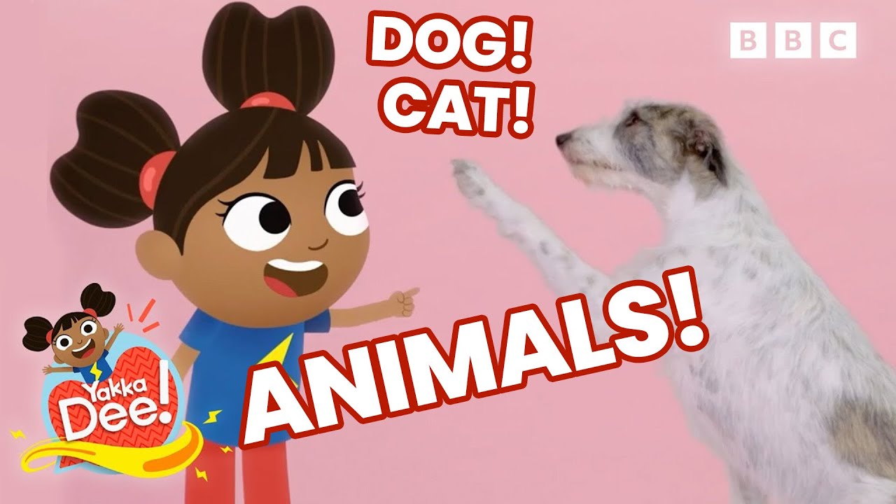 Can you say Animals? | Learn Animal names | Dog, Unicorn, Mouse, Fish and more | Yakka Dee!