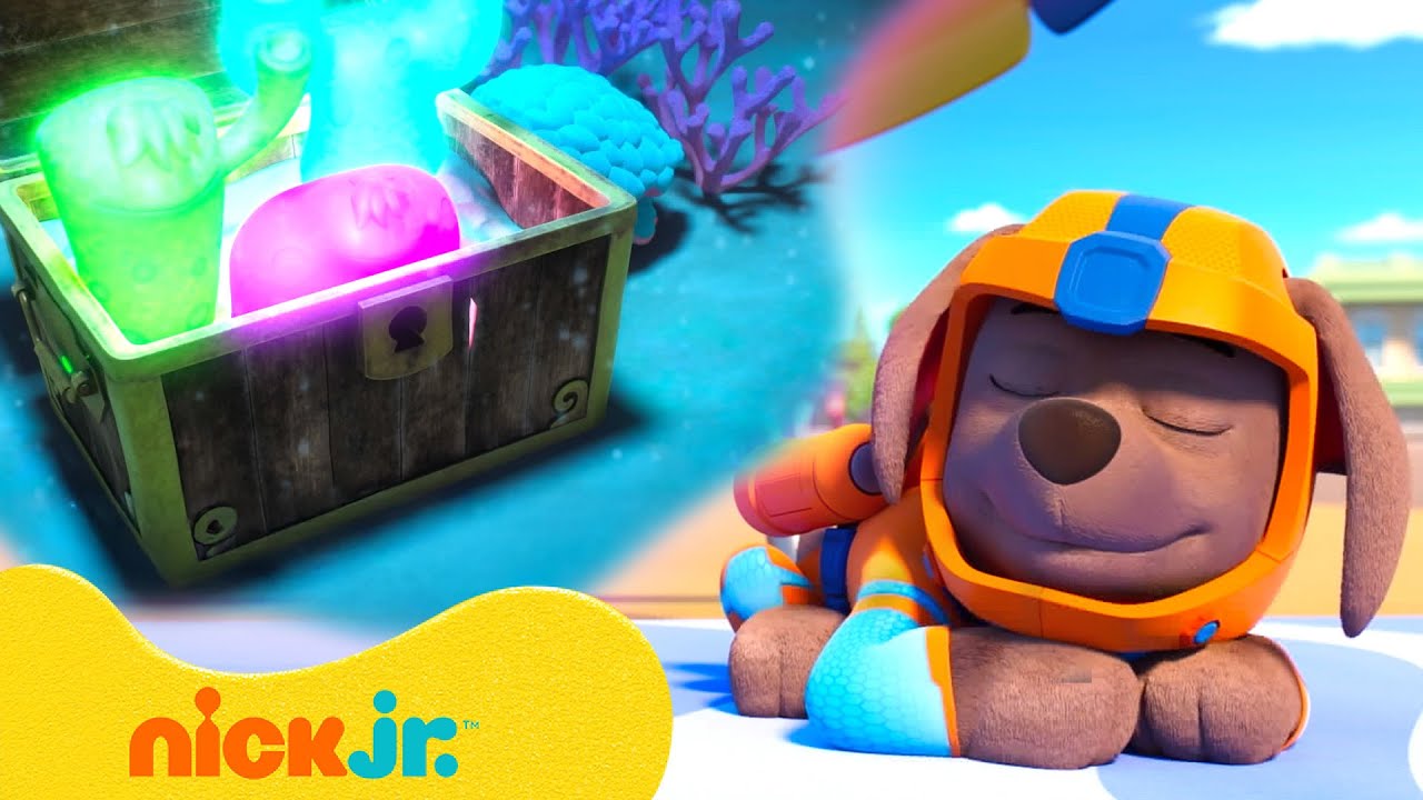 PAW Patrol Pups Have Weird Dreams! #5 w/ Zuma | 10 Minutes | Nick Jr.