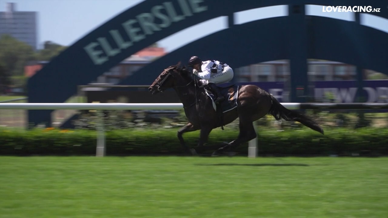 Gr.2 Eagle Technology Avondale Guineas - That’s Gold